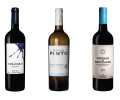 Vinhos medalhados. Segredos bem guardados