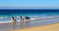 Passeio a cavalo na praia de Melides