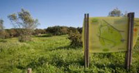 Caminhar e brincar em Monsanto