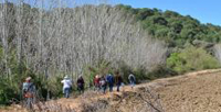 A Alquimia da Floresta