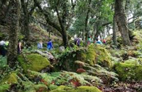 Via Mariana 5ª Etapa Senhora da Peneda / Melgaço