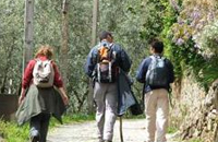 Grande Rota das Montanhas M&aacute;gicas - 11&ordf; etapa